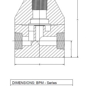 Griffco – 1/2” FNPT CPVC Back Pressure Valve